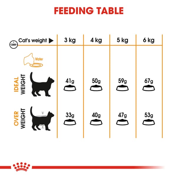 Royal Canin Skin & Hair Care for Adult Dry Cat Food