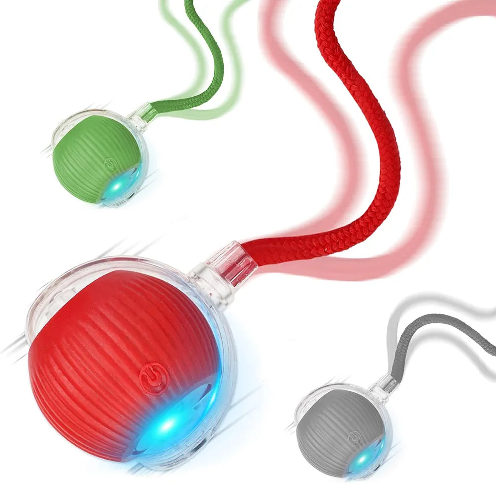 360° Gravity Spinner Cat Toy