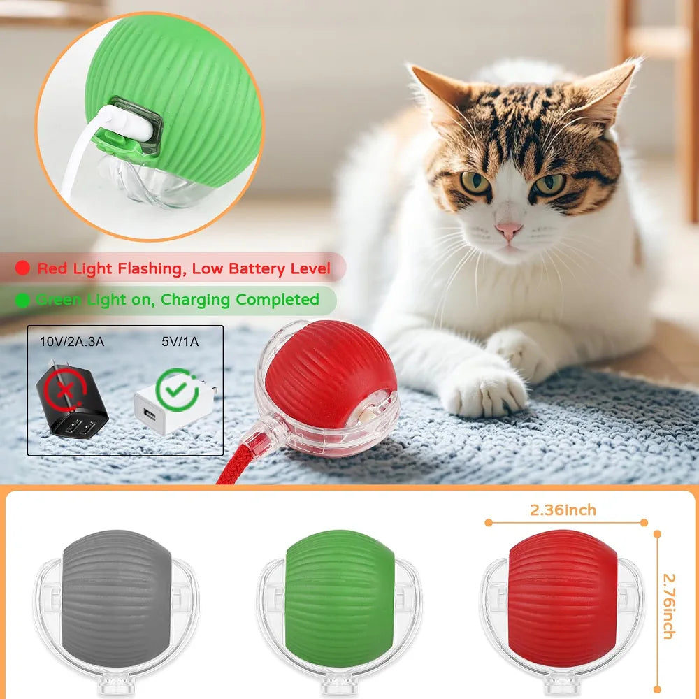 360° Gravity Spinner Cat Toy