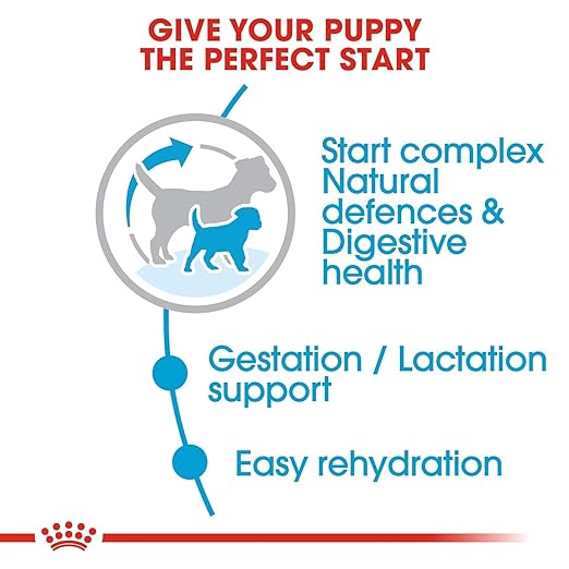 Royal Canin Mini Starter, Mother & Babydog Dry Food 1 kg