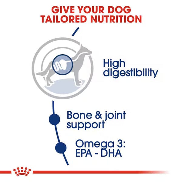 Royal Canin Maxi Adult Dog Dry Food 4 kg