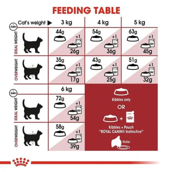 Royal Canin Fit 32 Regular for Adult Dry Cat Food
