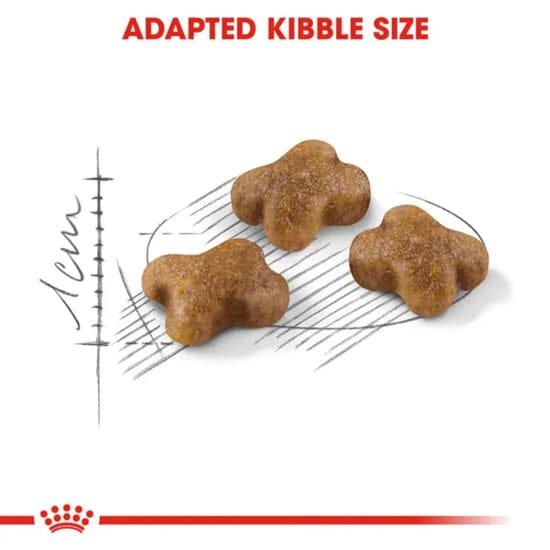 Royal Canin Kitten up to 12 month Dry Cat Food