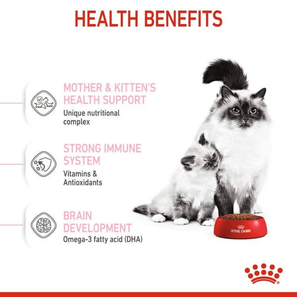 Royal Canin Mother & Babycat Dry Cat Food