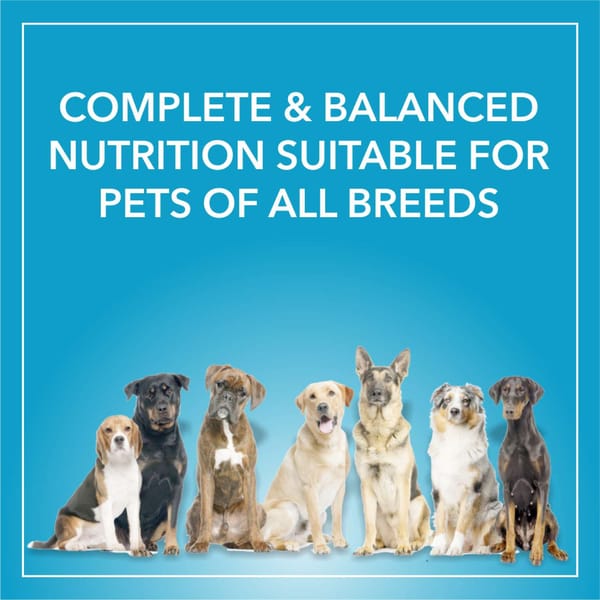 Purepet Chicken & Vegetable Adult Dry Dog Food